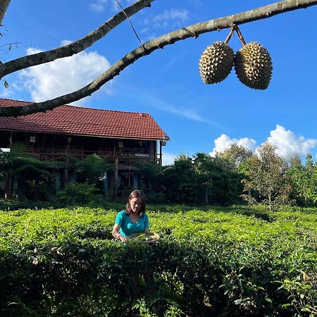 فيلا Tea Garden House باو لوك المظهر الخارجي الصورة