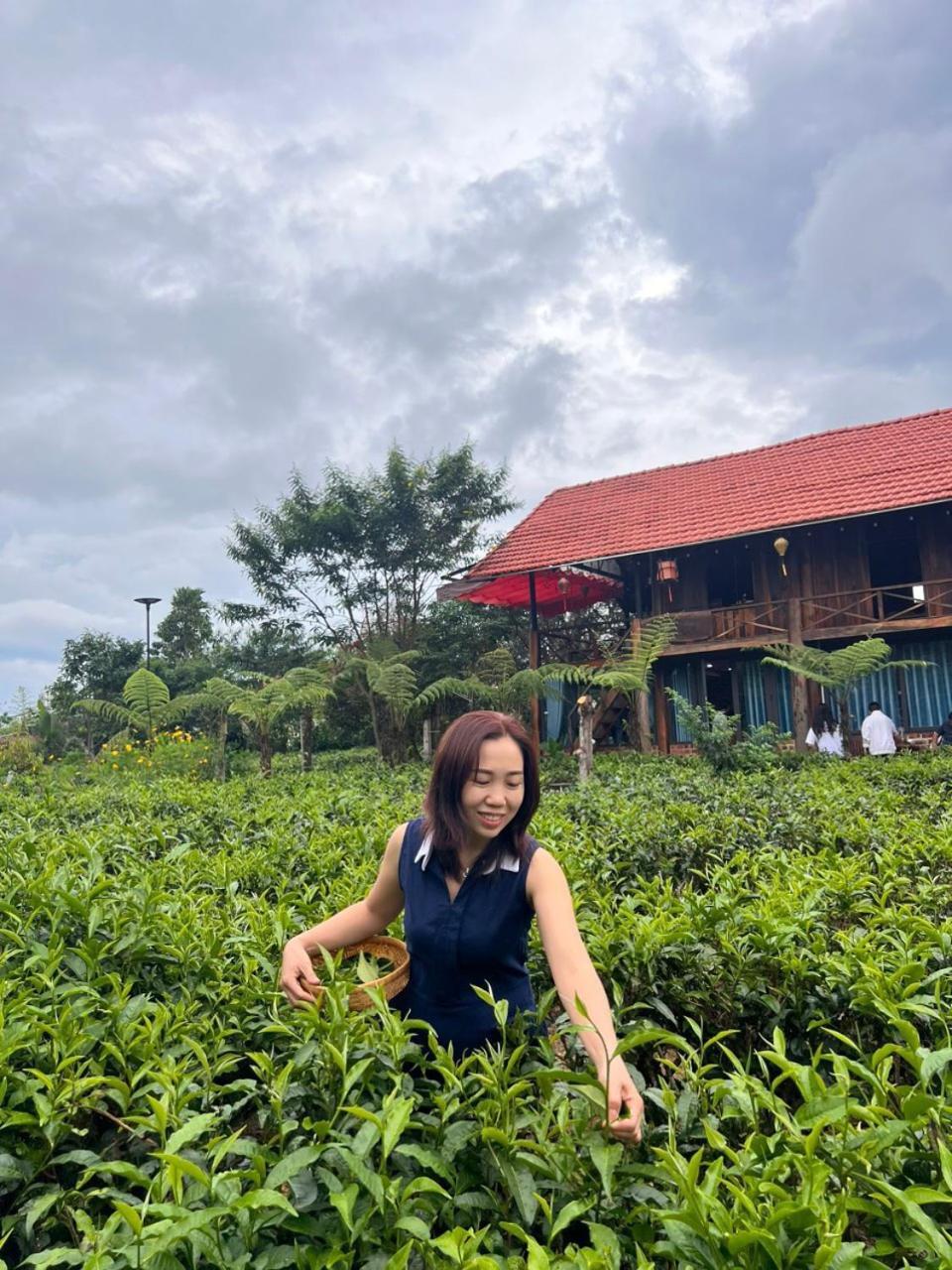 فيلا Tea Garden House باو لوك المظهر الخارجي الصورة