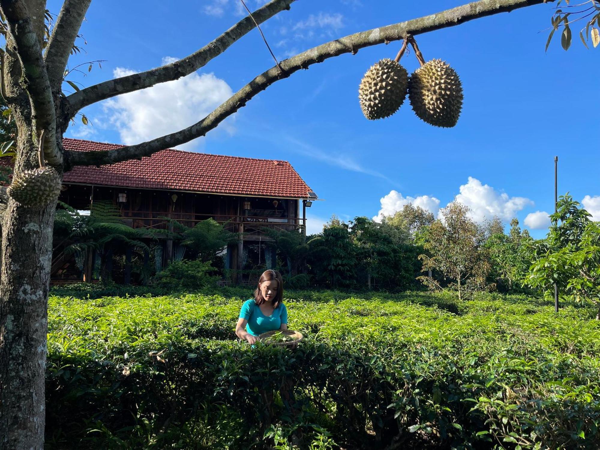 فيلا Tea Garden House باو لوك المظهر الخارجي الصورة