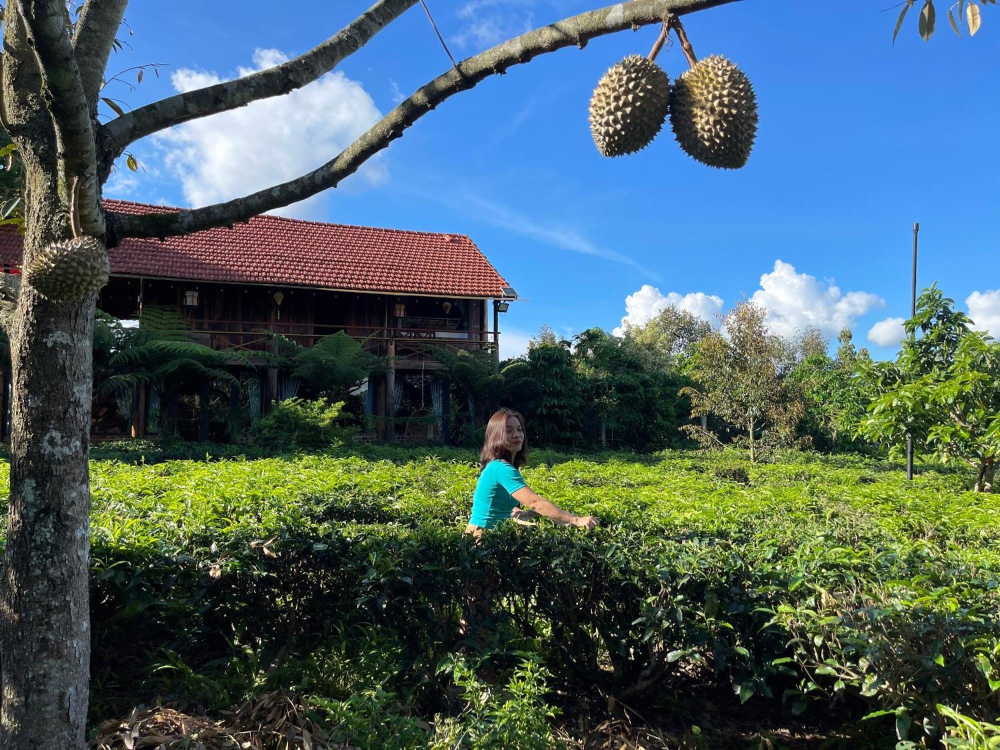 فيلا Tea Garden House باو لوك المظهر الخارجي الصورة