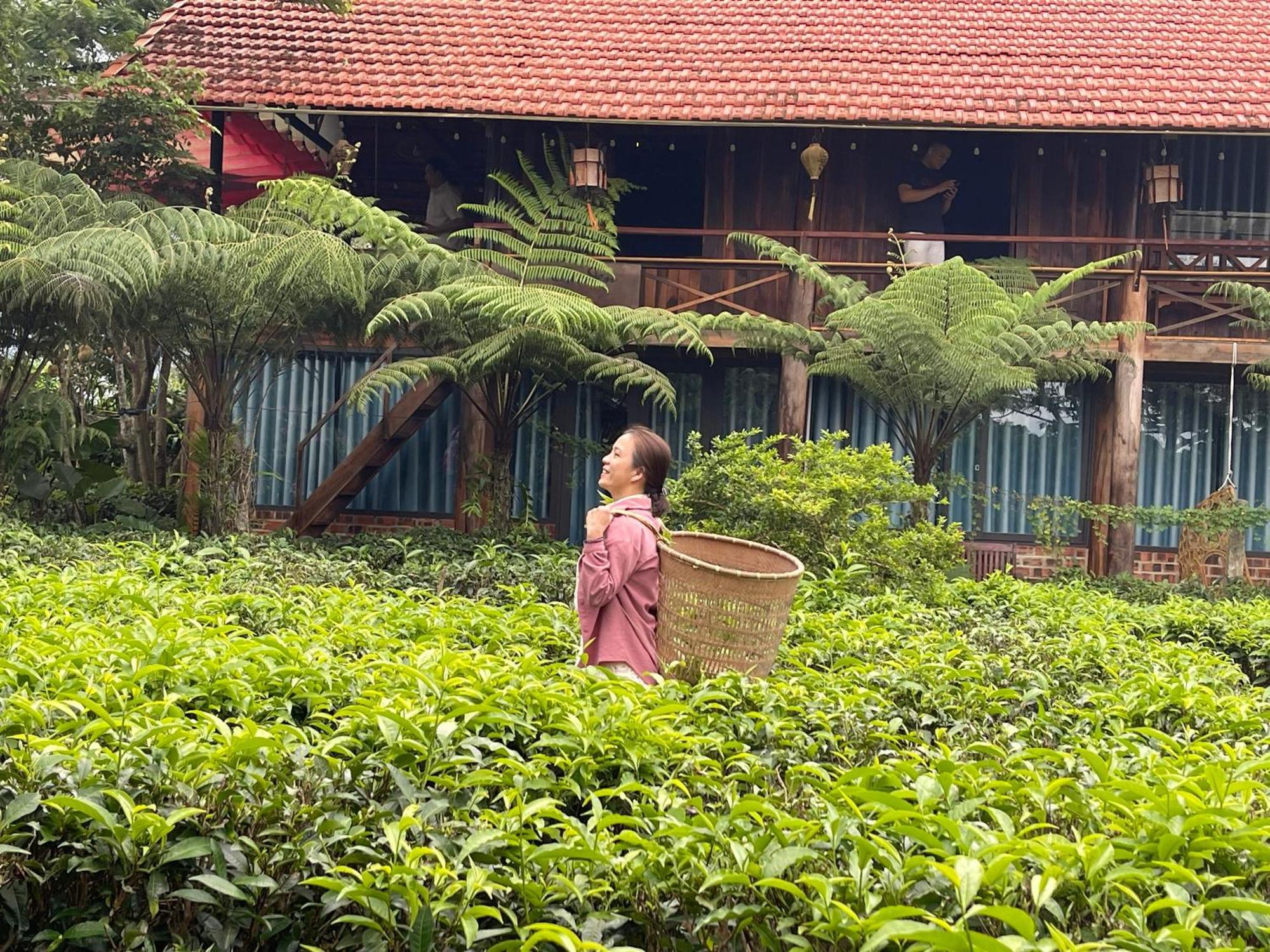 فيلا Tea Garden House باو لوك المظهر الخارجي الصورة