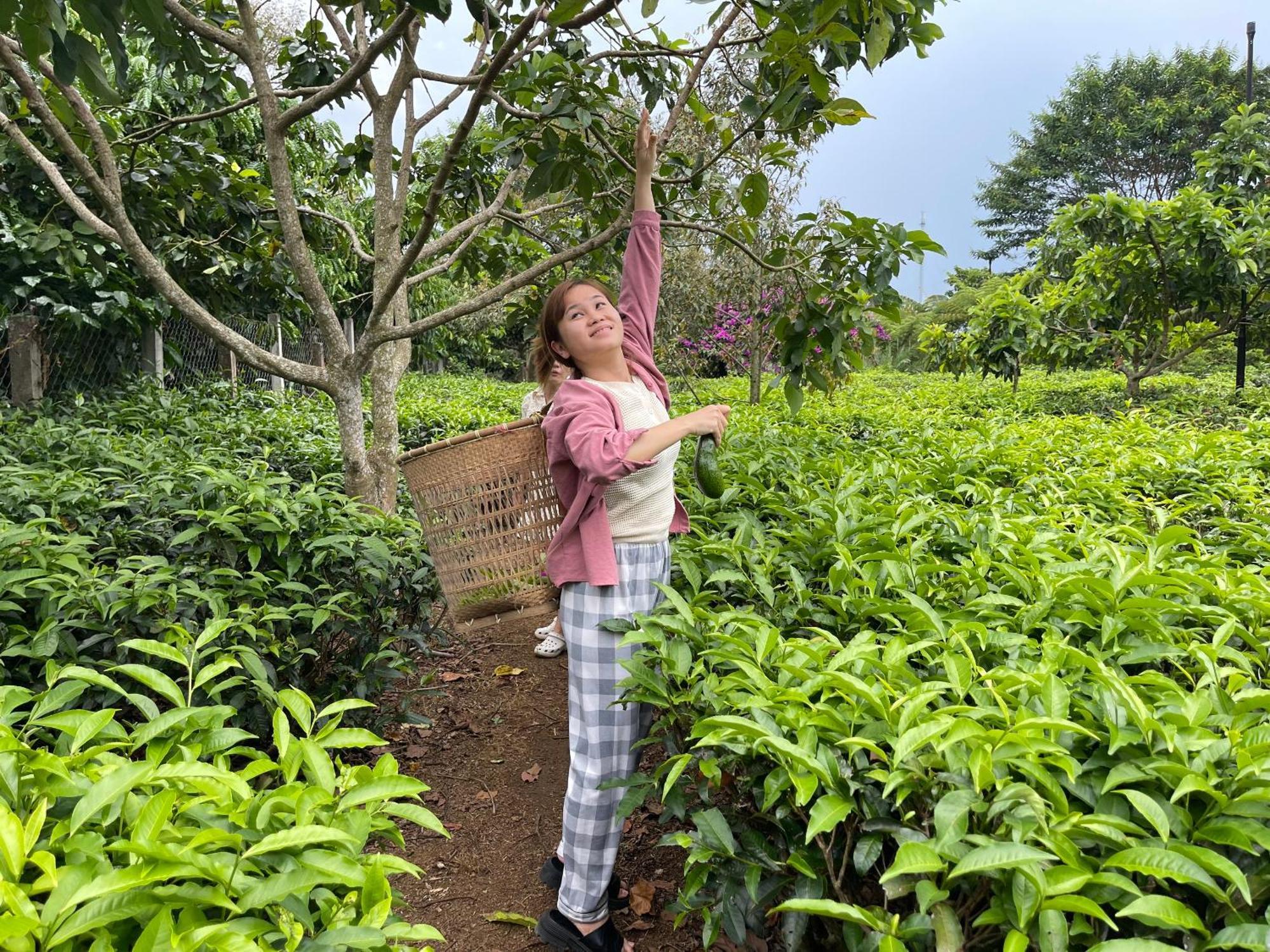فيلا Tea Garden House باو لوك المظهر الخارجي الصورة