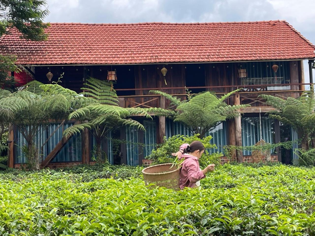 فيلا Tea Garden House باو لوك المظهر الخارجي الصورة