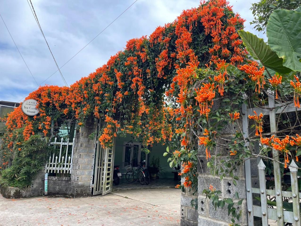 فيلا Tea Garden House باو لوك المظهر الخارجي الصورة