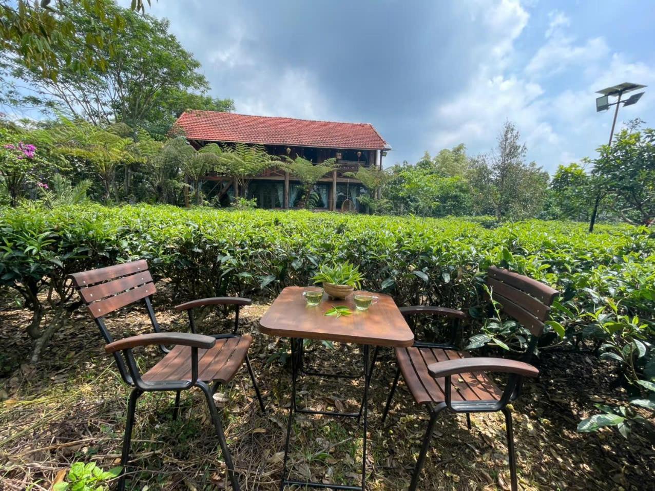 فيلا Tea Garden House باو لوك المظهر الخارجي الصورة